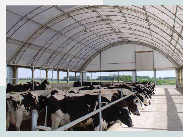 Тентовые коровники в Белгороде